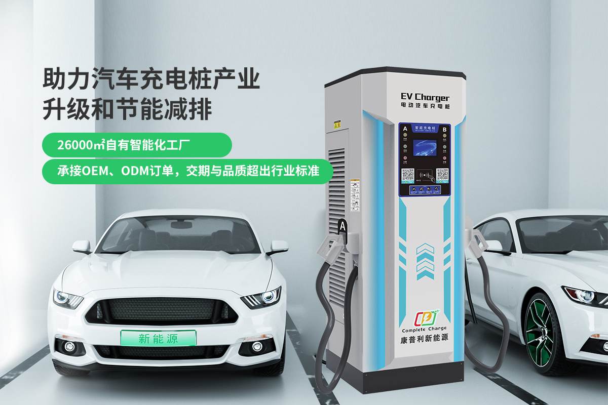 揭秘中國新能源汽車充電設施的發展現狀
